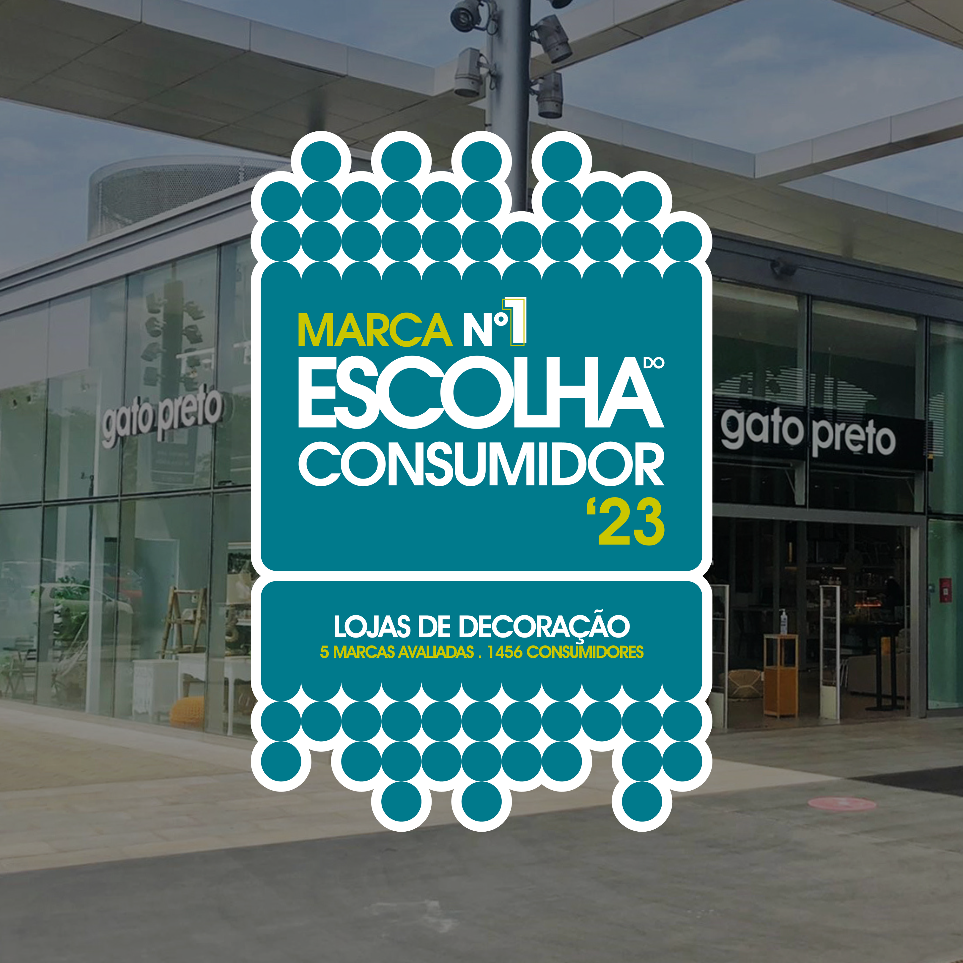 Gato Preto - Elected "Consumer Choice 2023