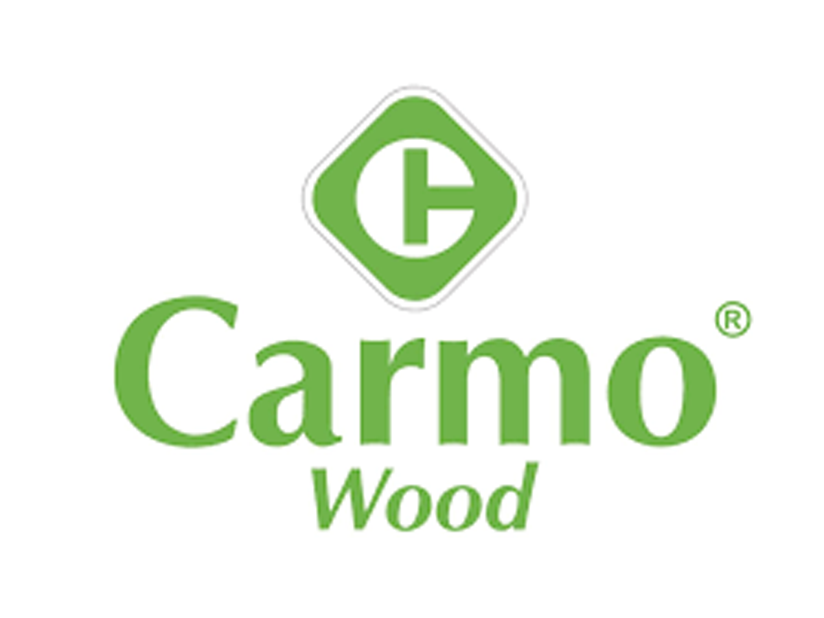 Carmo Wood segue exemplo sueco e quer impulsionar a construção de pontes de madeira em Portugal e Espanha