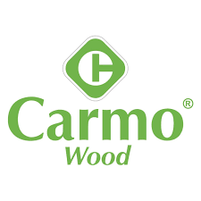 Carmo Wood segue exemplo sueco e quer impulsionar a construção de pontes de madeira em Portugal e Espanha