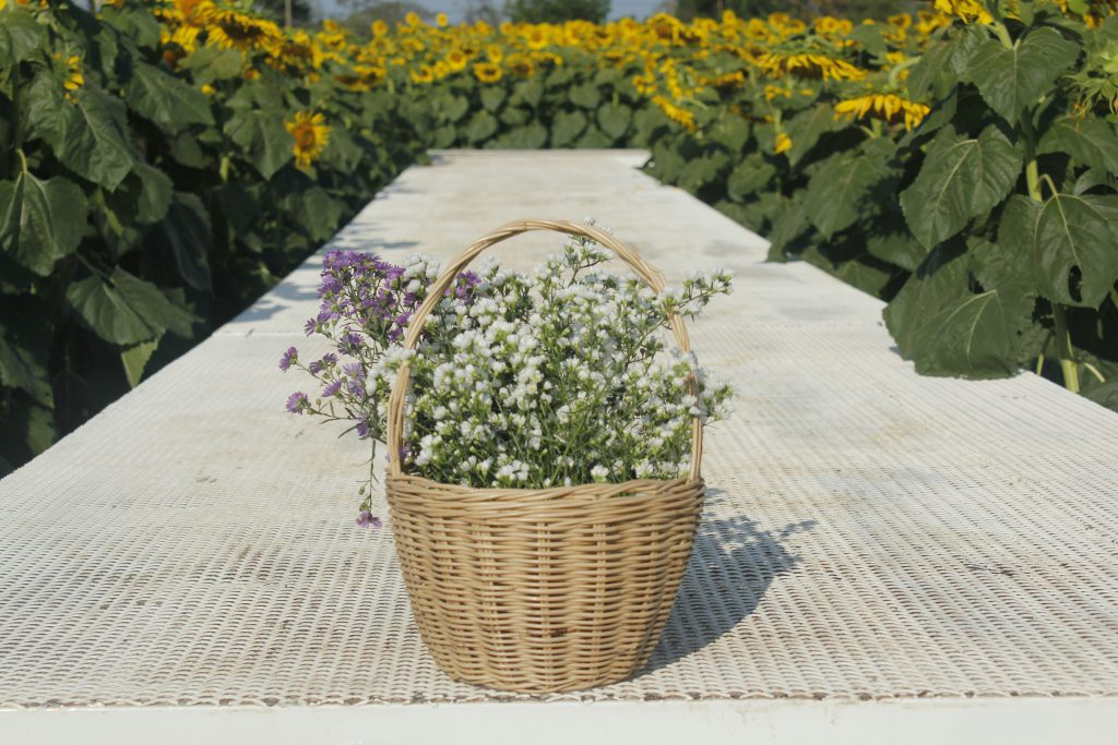 Ideias de arranjos florais para aperfeiçoar a decoração do seu interior