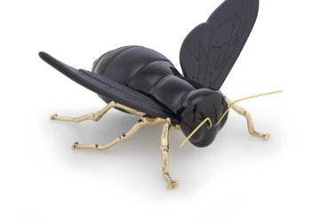 Lançamento da peça “encontro no ciclo” da Abelha Lançamento da peça “encontro no ciclo” da Abelha