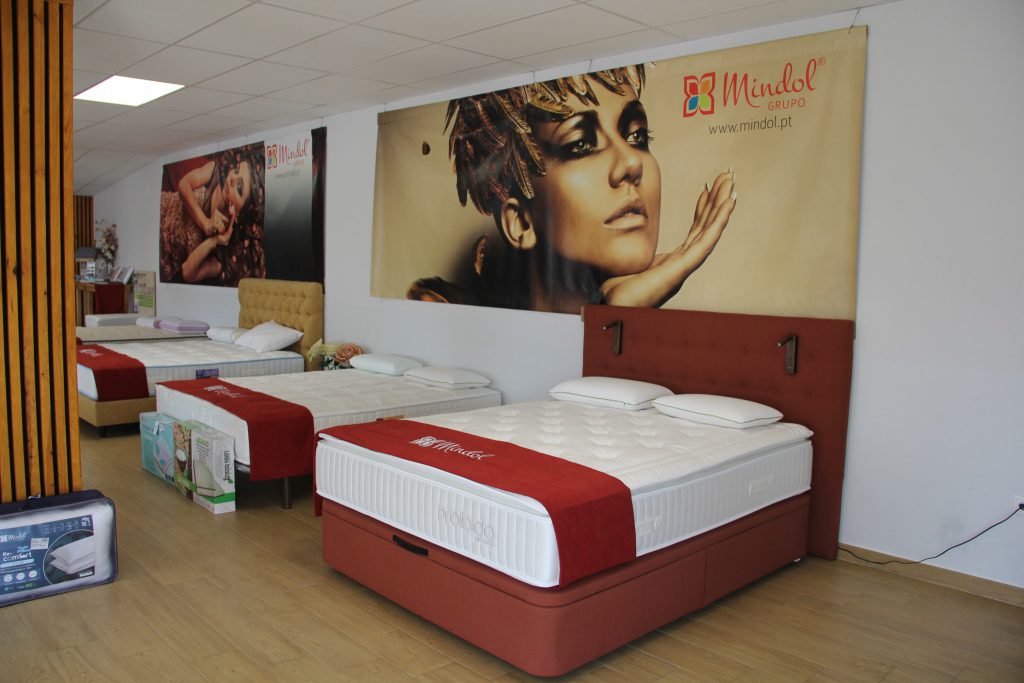 Mindol leva exposição solidária a Leiria após tempestades