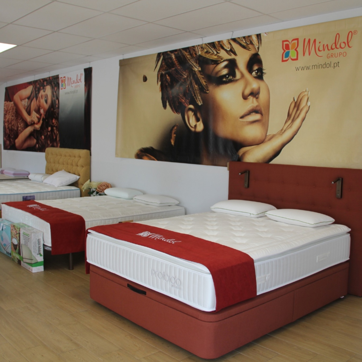 Mindol leva exposição solidária a Leiria após tempestades